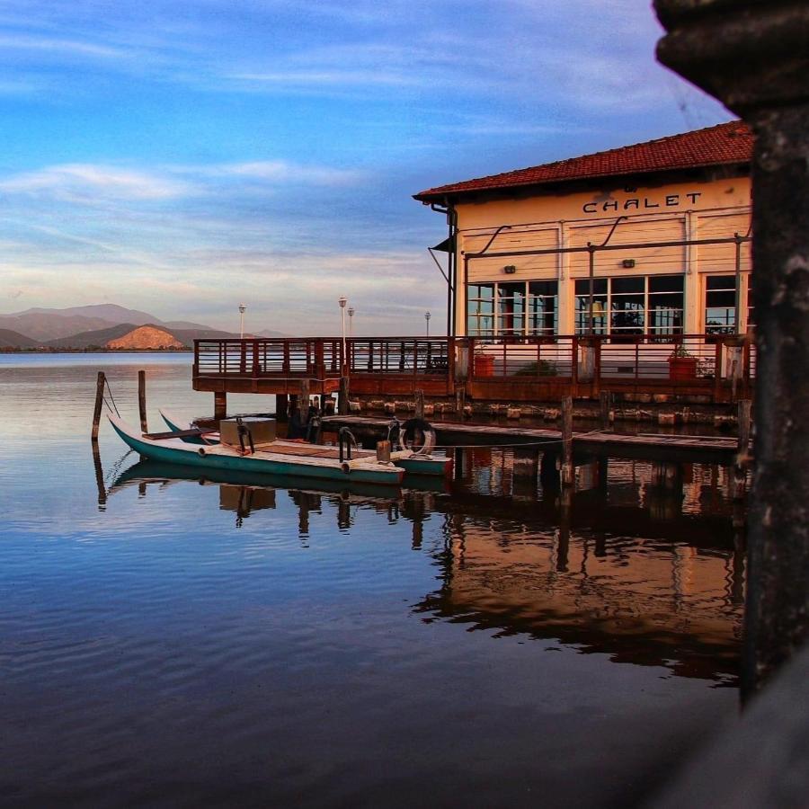 Apartament La Terrazza Del Pino Torre del Lago Puccini Zewnętrze zdjęcie