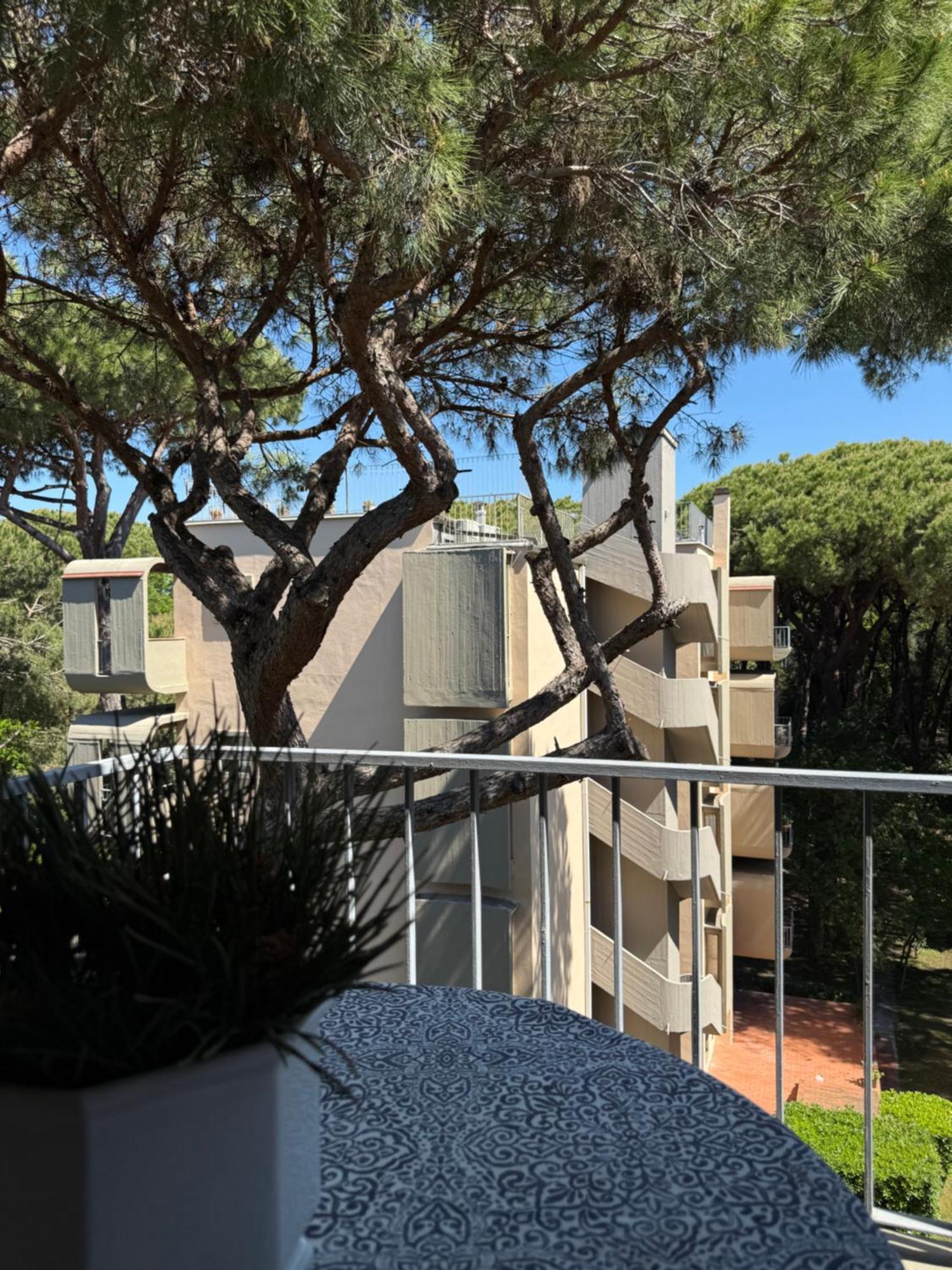 Apartament La Terrazza Del Pino Torre del Lago Puccini Zewnętrze zdjęcie